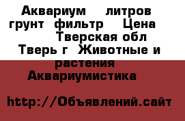 Аквариум 80 литров, грунт, фильтр. › Цена ­ 2 500 - Тверская обл., Тверь г. Животные и растения » Аквариумистика   